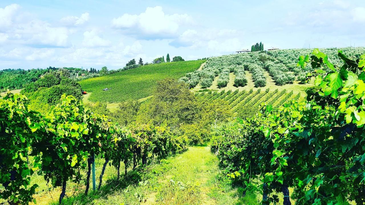 Agriturismo Sant'Ellero San Casciano in Val di Pesa Exterior foto