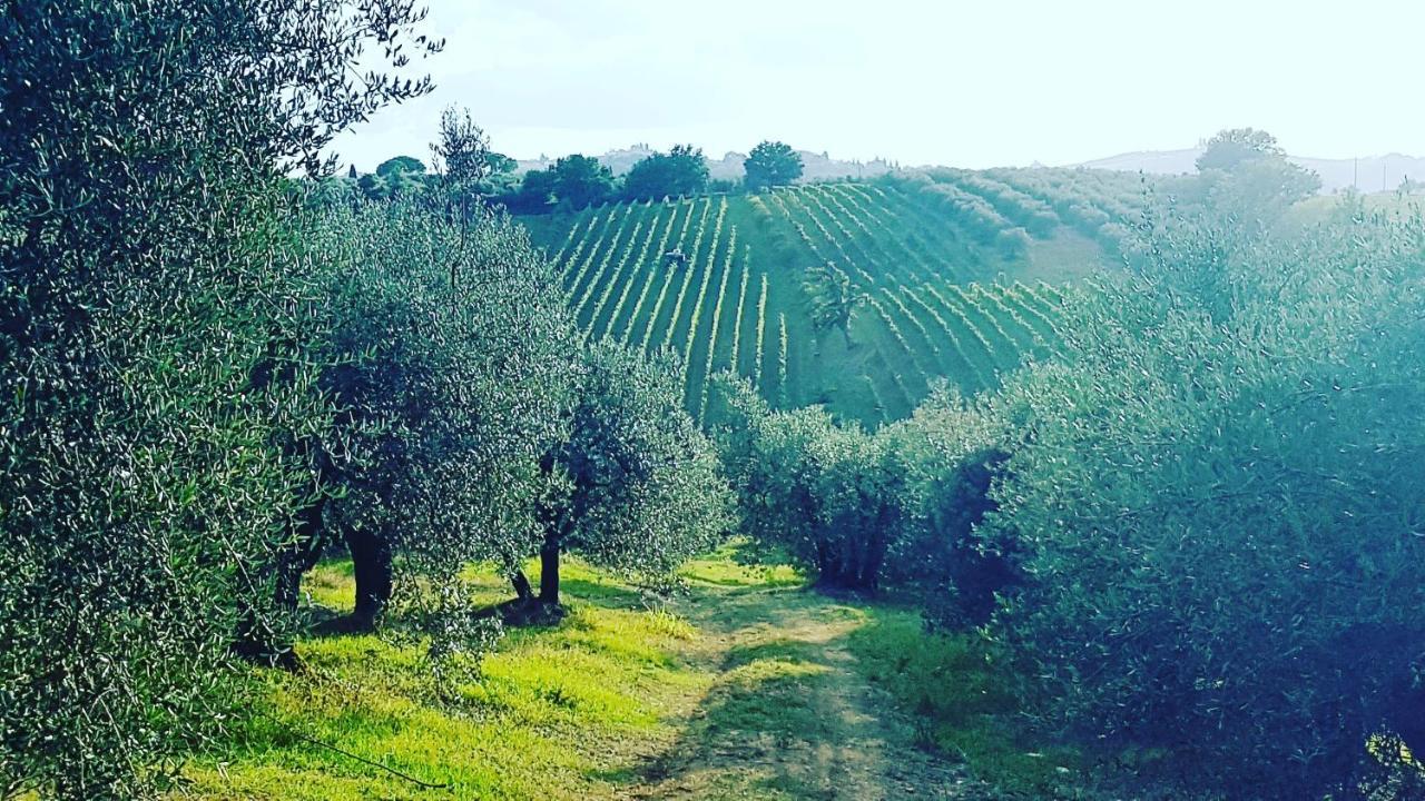Agriturismo Sant'Ellero San Casciano in Val di Pesa Exterior foto